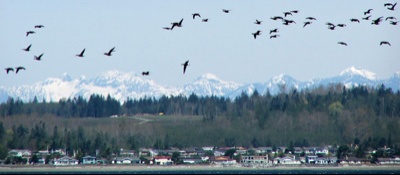 Birch Bay Attractions